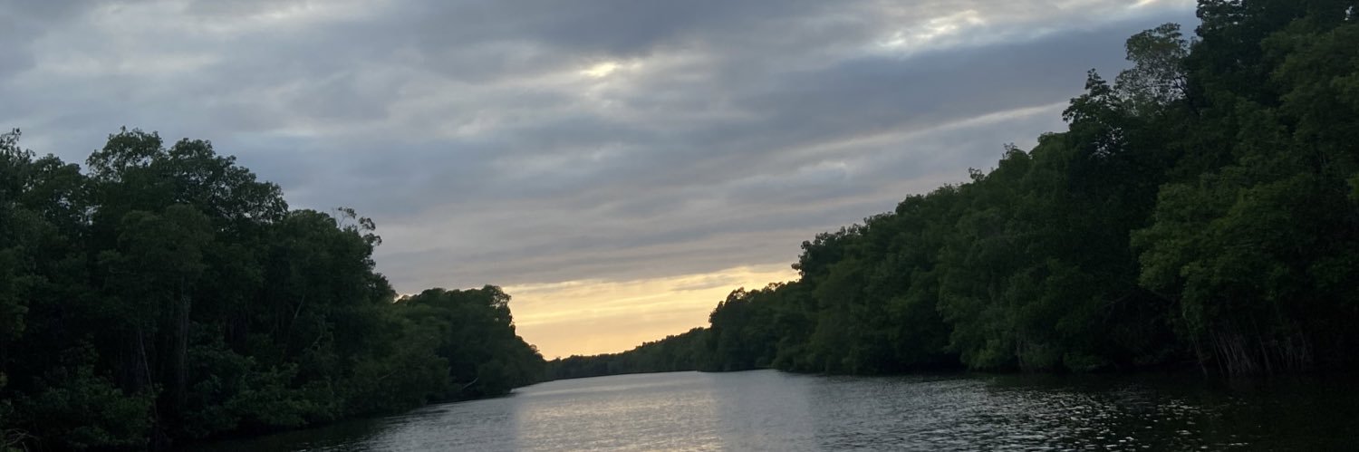 denishaLG1's profile banner image