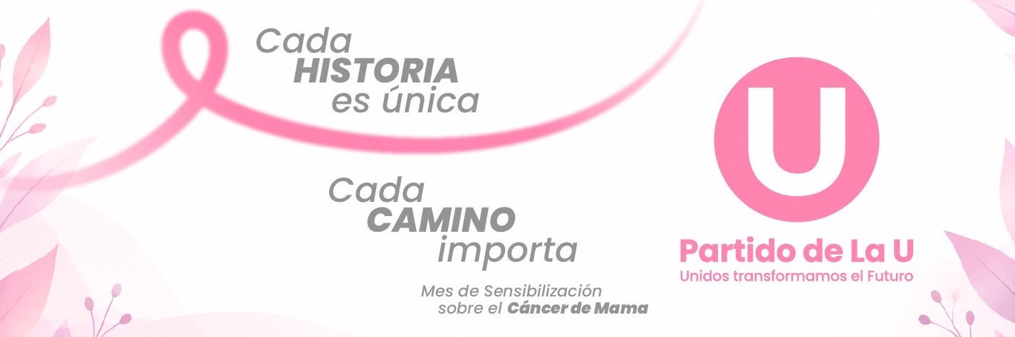 partidodelaucol's profile banner image