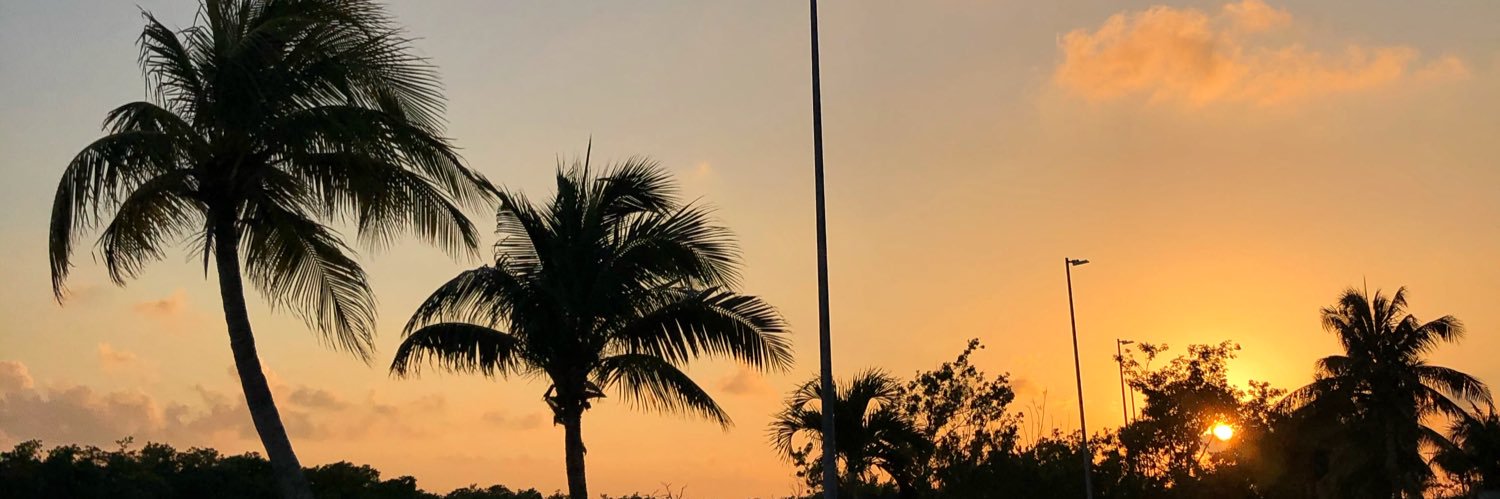 davidhpineda's profile banner image