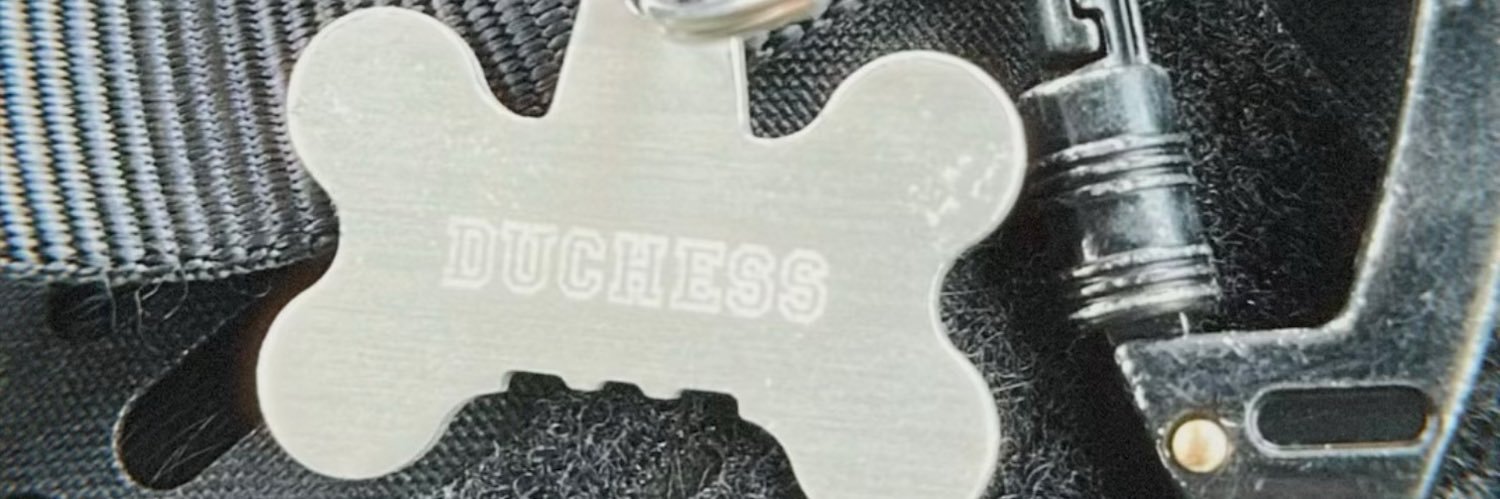 jodvddie's profile banner image