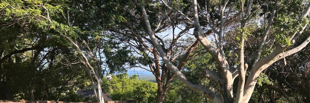 OGMxsh's profile banner image