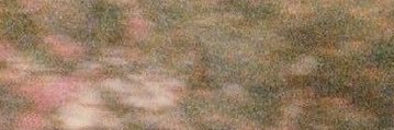 alzayedd's profile banner image