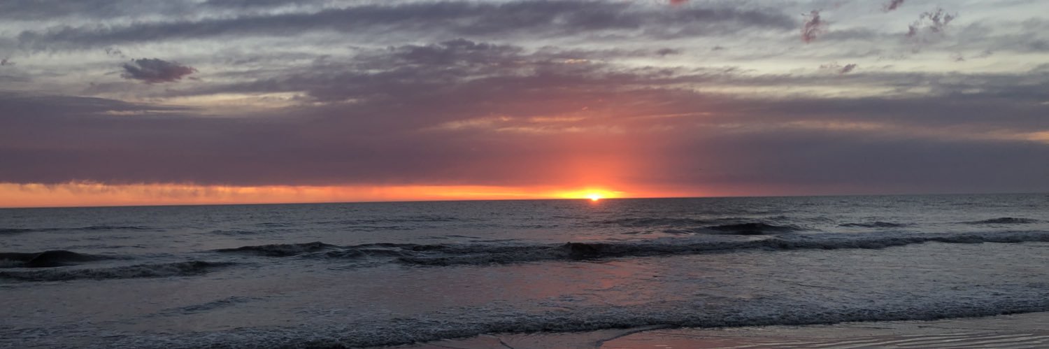 CaroToscano1's profile banner image