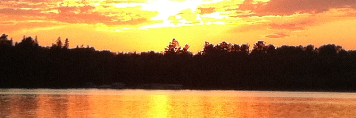 dkbloomquist5's profile banner image