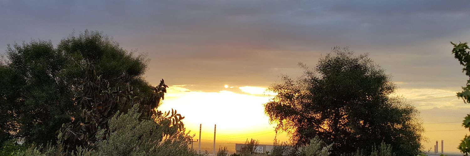 eylemgur's profile banner image
