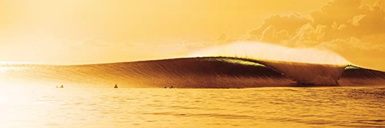 surferBTC's profile banner image