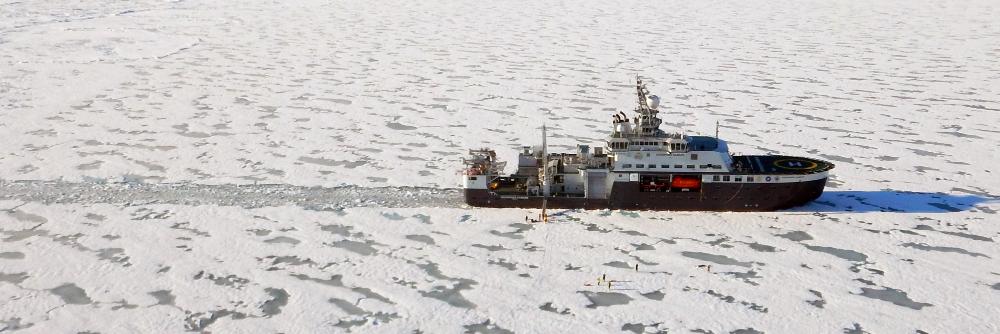 Oceans & Sea Ice NPI's banner