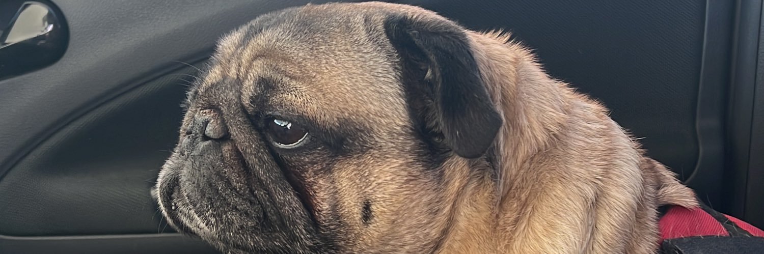 LuzMaFigue's profile banner image