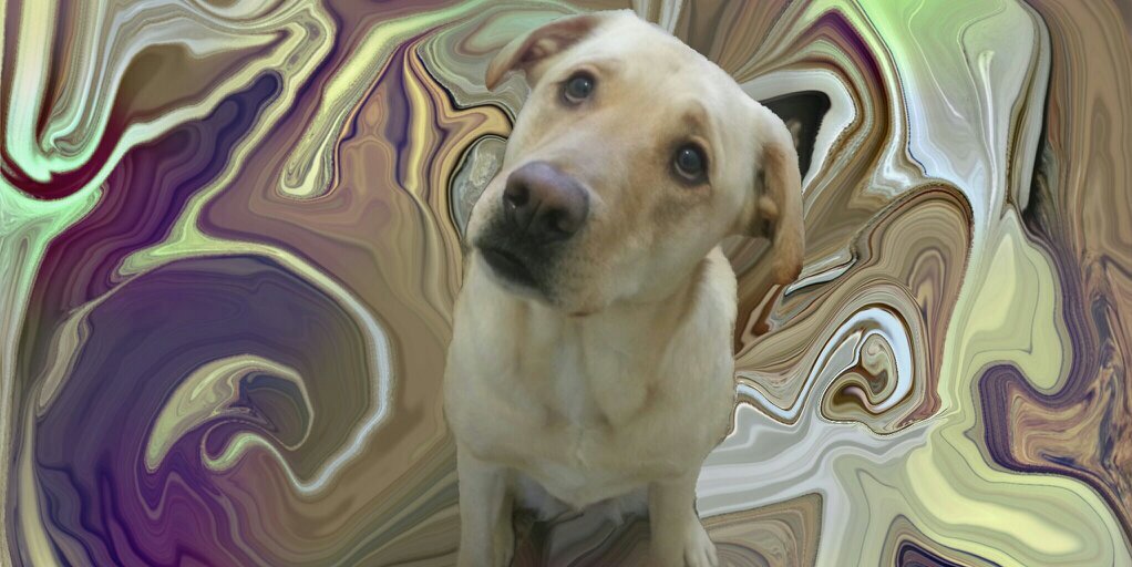 zChrisChris's profile banner image