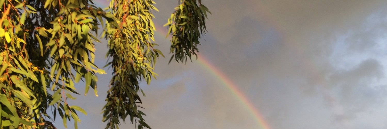 vchic2's profile banner image