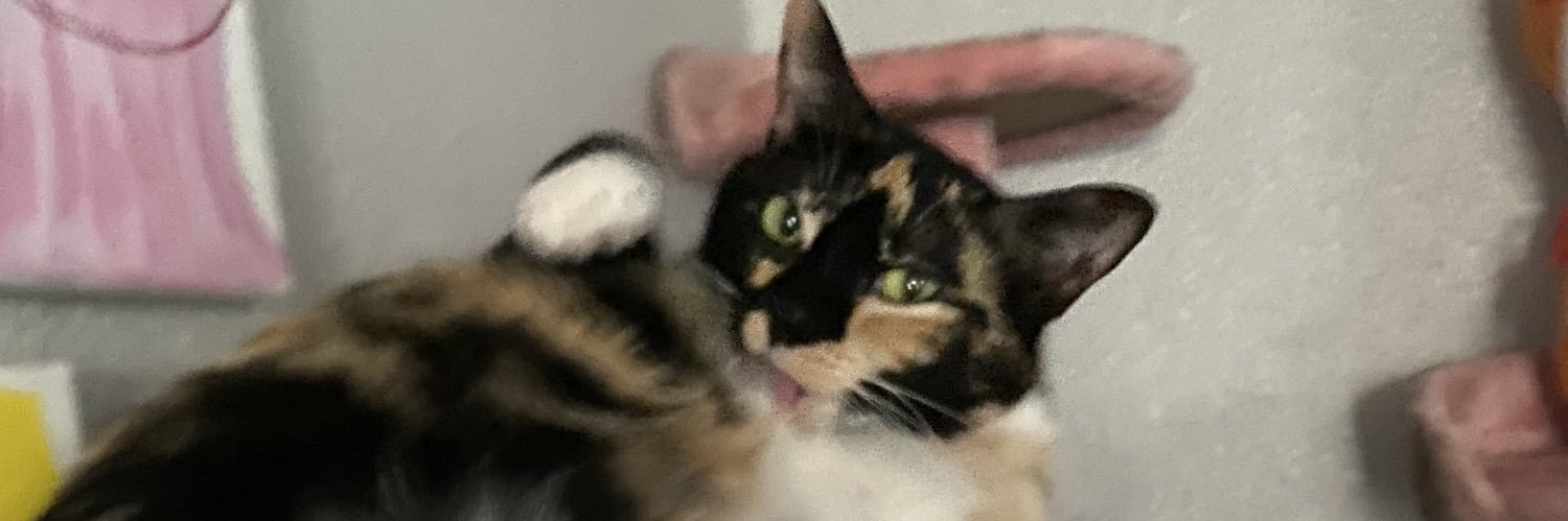 Mae__destiny's profile banner image