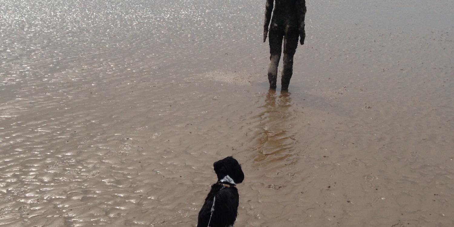 mark ashcroft banner