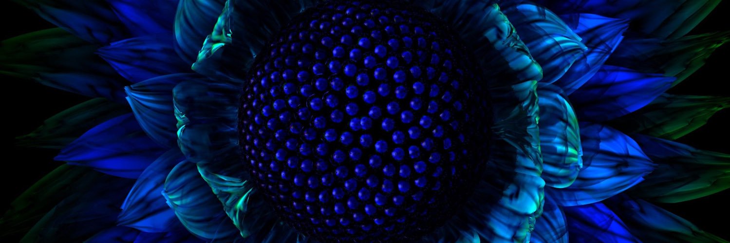 Not_That_Jen's profile banner image