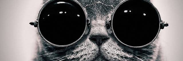 vitorbarroco's profile banner image