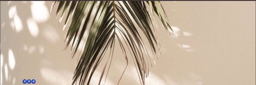 bbykails's profile banner image