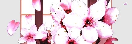 Lethal_Deity's profile banner image