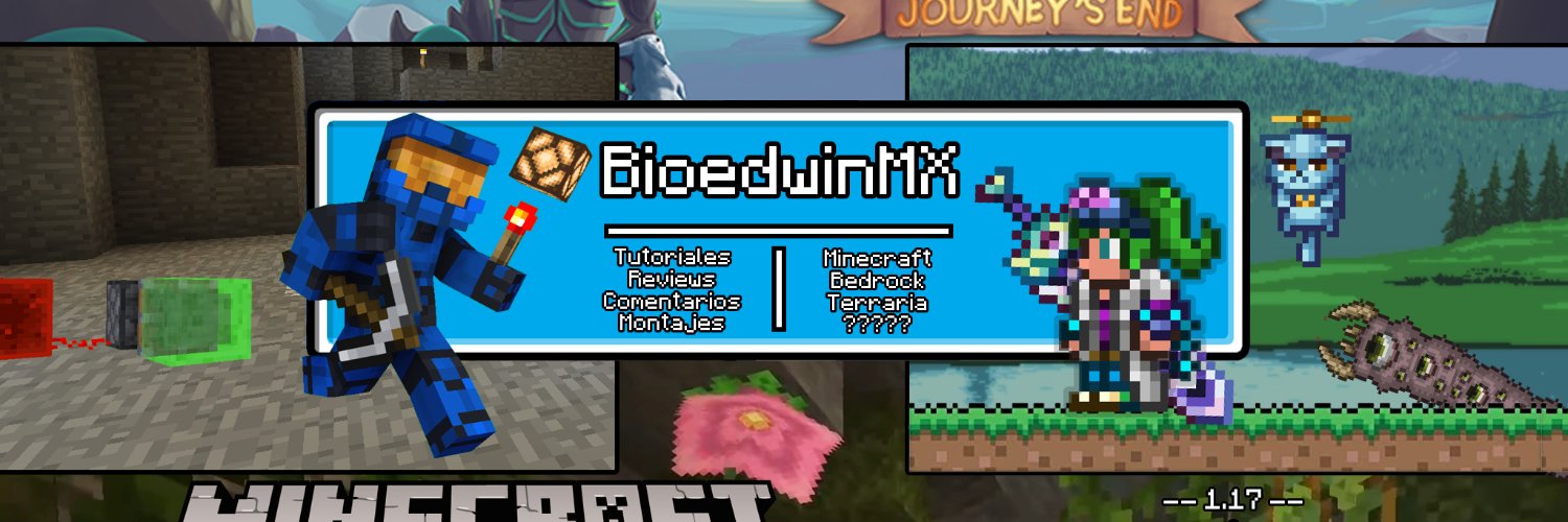 BioedwinMX banner
