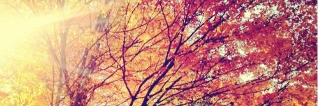 cayleah1's profile banner image