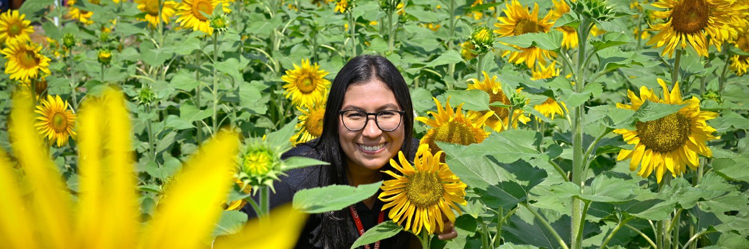 DanniDelgadoC's profile banner image
