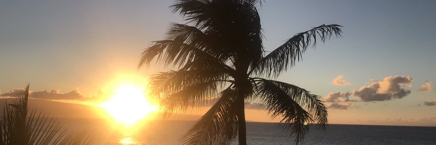 evoisamyth's profile banner image