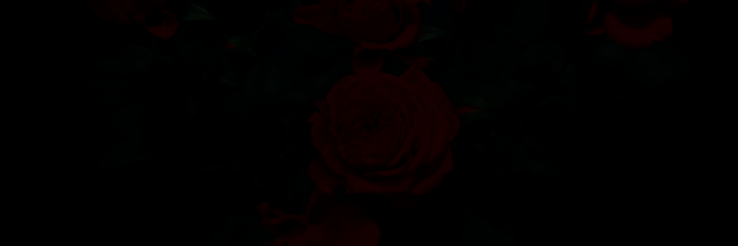 Stheartbreak's profile banner image