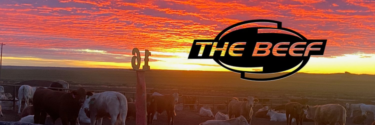 TheBeefRead's profile banner image