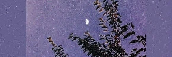 CC___96's profile banner image
