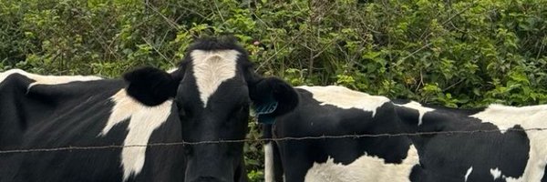 mariamagariz Profile Banner