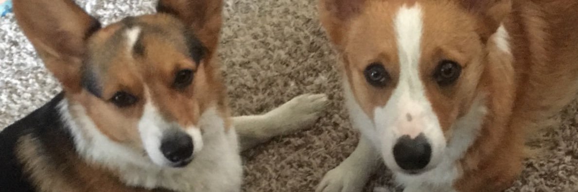 jpeach94's profile banner image