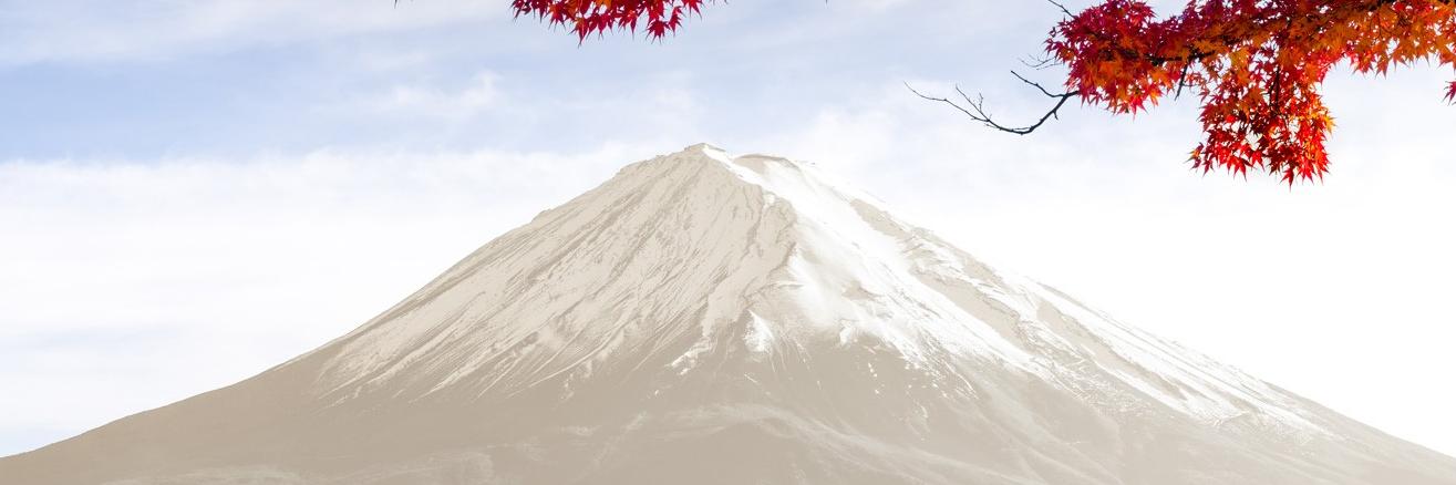 Fujisan Marketing banner