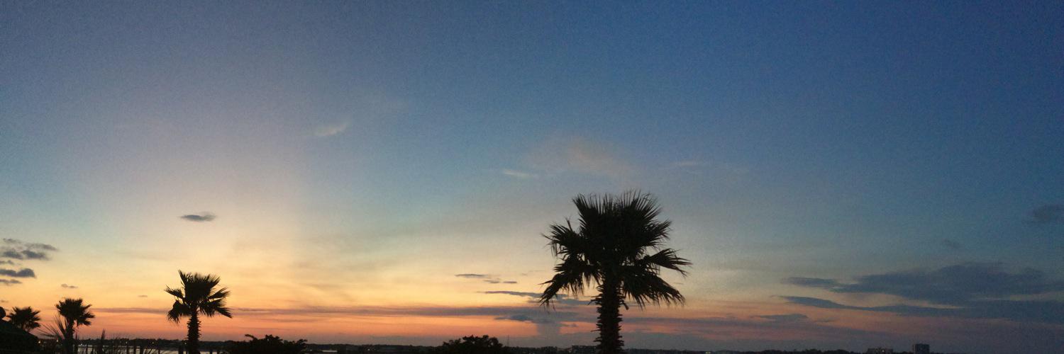 ElleMaeJenkins's profile banner image