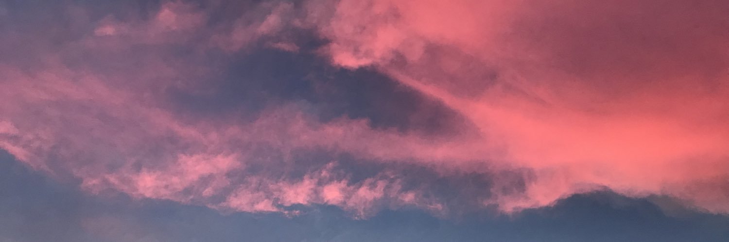 anuhaia's profile banner image