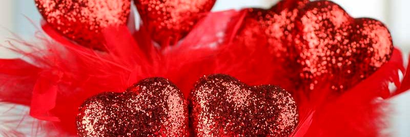Candicious Rex ❌❌❌⭕️ banner