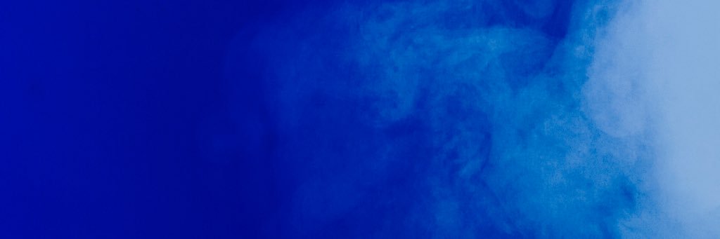 Laika Perra Rusa banner