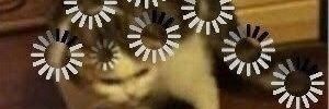 Momaeeen's profile banner image