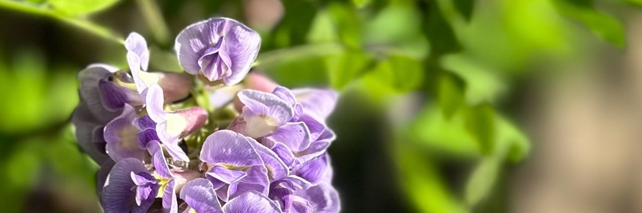 KFun's profile banner image