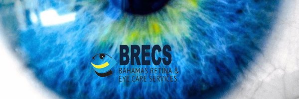 BRECS242 Profile Banner