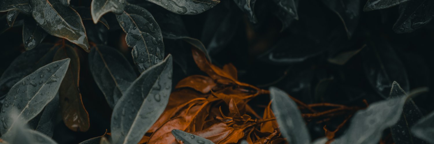 FitFamIsLife's profile banner image