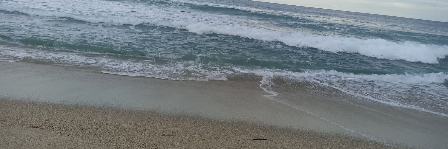 1DannyMorales's profile banner image