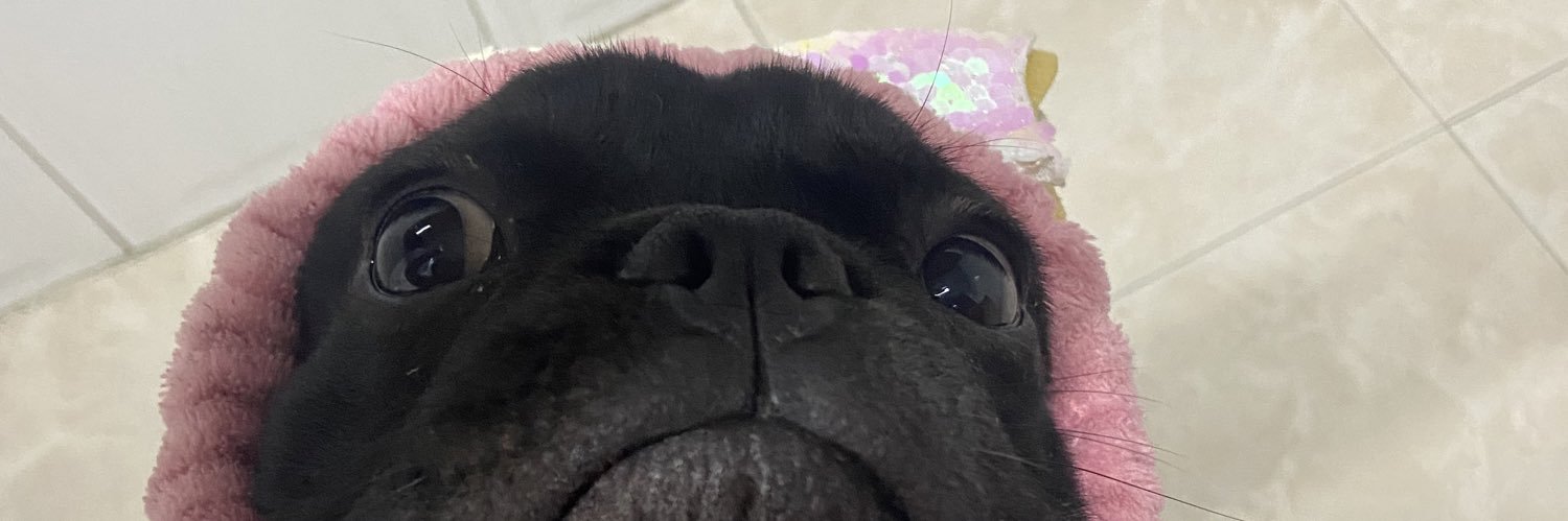 iamcalde's profile banner image