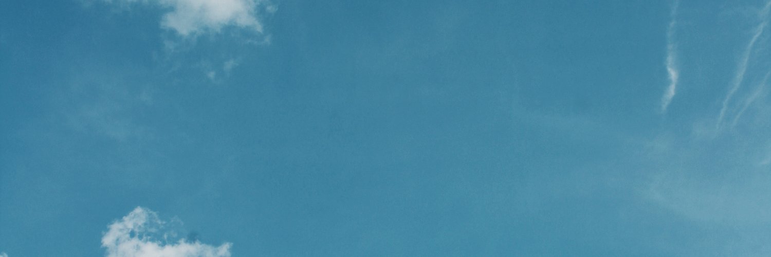 Lunaticat banner