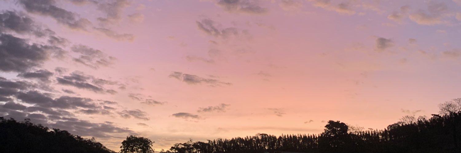 luquestmendes's profile banner image