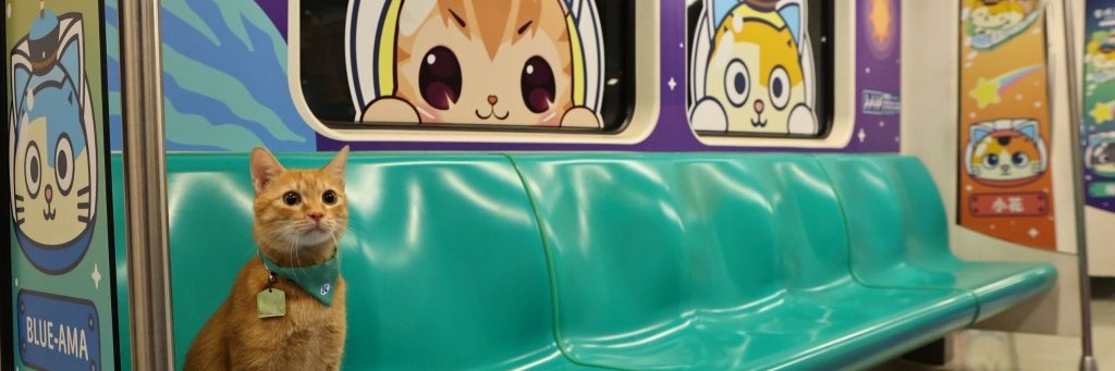 Stawlk_'s profile banner image