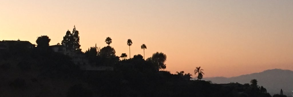 Karissa Kindy banner