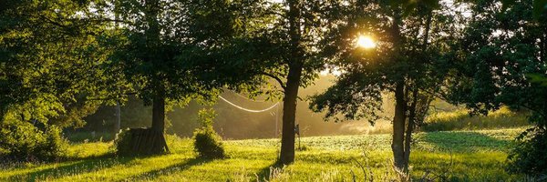 BittingRich Profile Banner