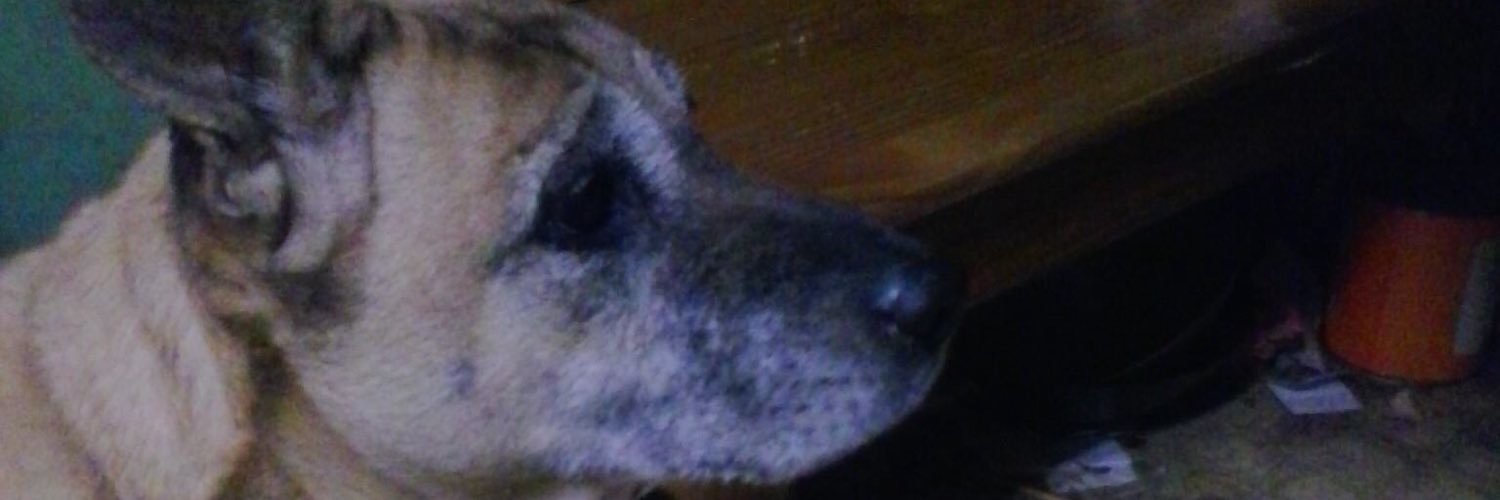 olmstead_bo's profile banner image