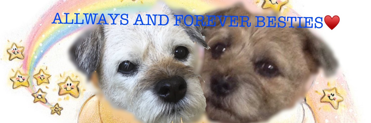 jutucker's profile banner image