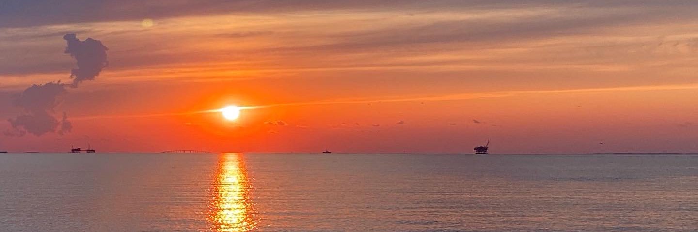 wallory_mintz's profile banner image