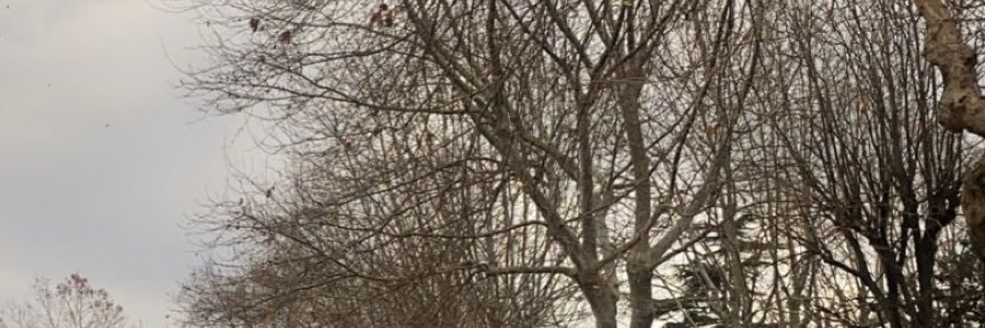 iln98's profile banner image