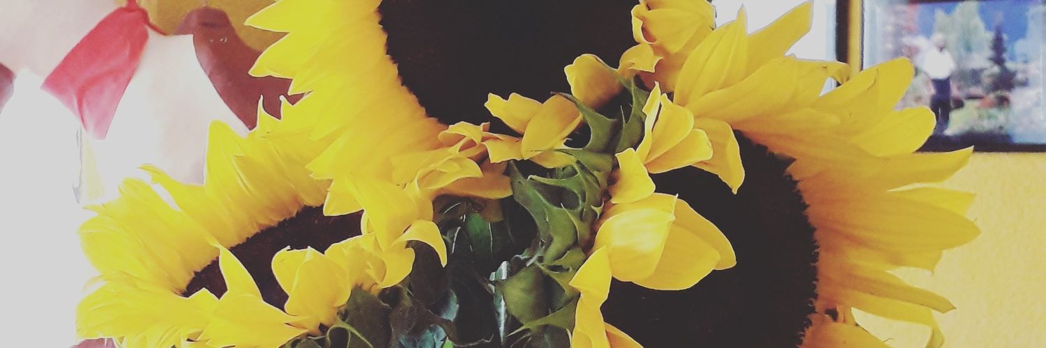 Diann_u's profile banner image
